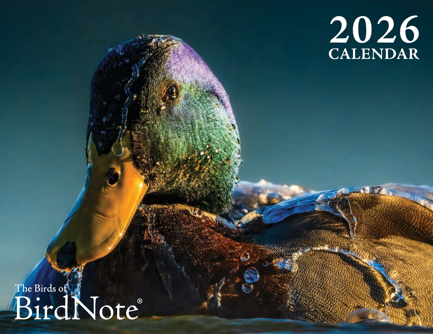 2026 Birds of BirdNote Wall Calendar