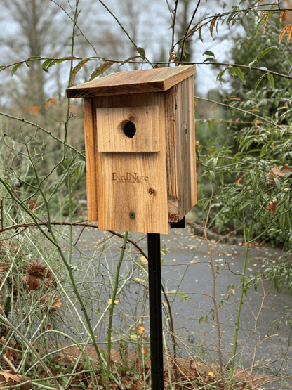 Chickadee/Nuthatch Nesting Box