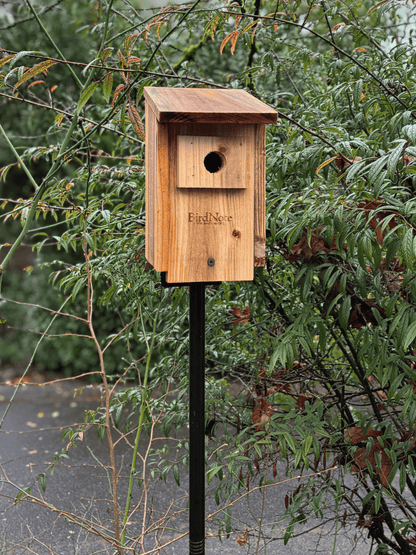 Chickadee/Nuthatch Nesting Box